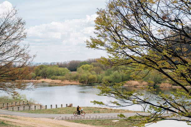 Dongchon riverside park in Daegu, Korea