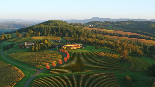 AERIAL Winery on the hill in Oregon, USA in the morning sun