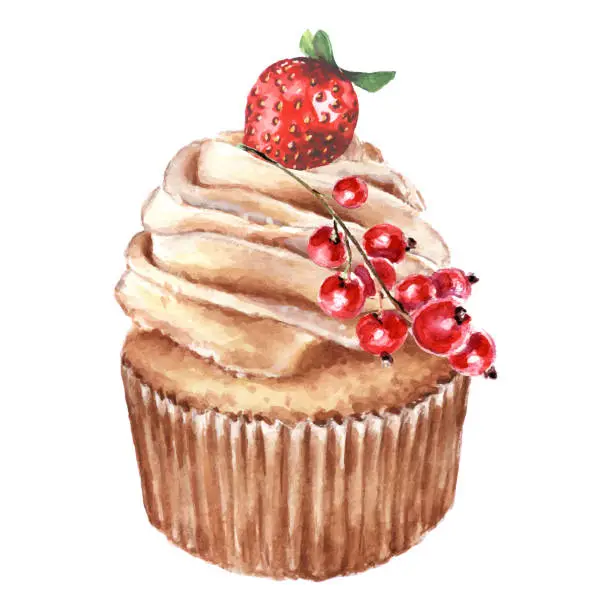 Vector illustration of Cupcake with berries red currant and strawberry.
