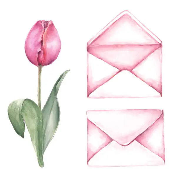 Vector illustration of Set of pink envelopes and pink tulip.