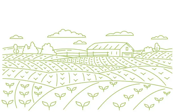 Vector illustration of Landscape field panorama. Young shoot. Farm barn. Vector line. Editable outline stroke.