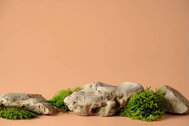 istock Abstract podium for cosmetic 1909477065