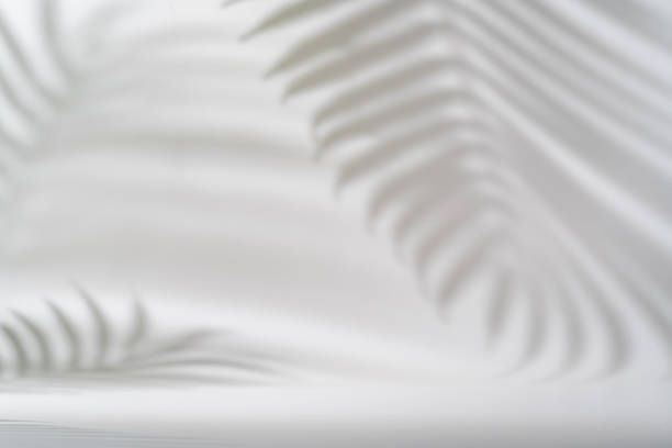 istock Shadow of tropical leaves 1909477101