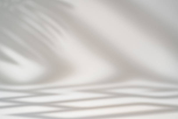 istock Shadow of tropical leaves 1909477132
