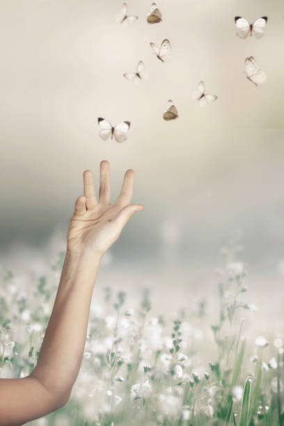 Female hands releasing a monarch butterfly over a field of wild flowers.