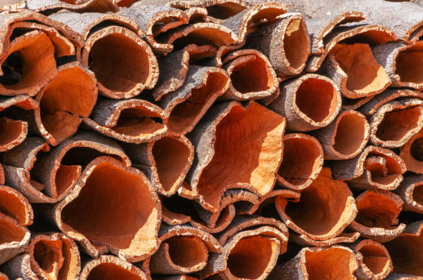 istock Closeup of a stack of cork after harvesting 1909505103