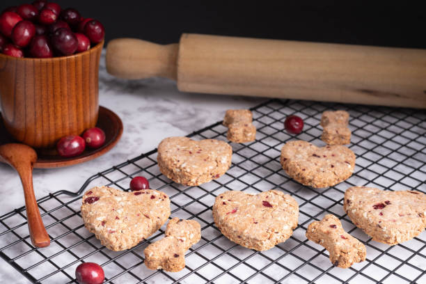 istock Heart and bone shaped cranberry dog cookies. 1909527643