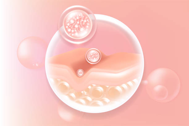 istock Probiotic and Hyaluronic acid skin solutions ad, pink collagen, and vitamin serum drops with cosmetic advertising background ready to use illustration vector. 1909538078