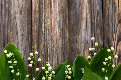 Lily of the valley flowers on rustic wooden background. Womens day, Valentines day card. Top view. Flat lay.
