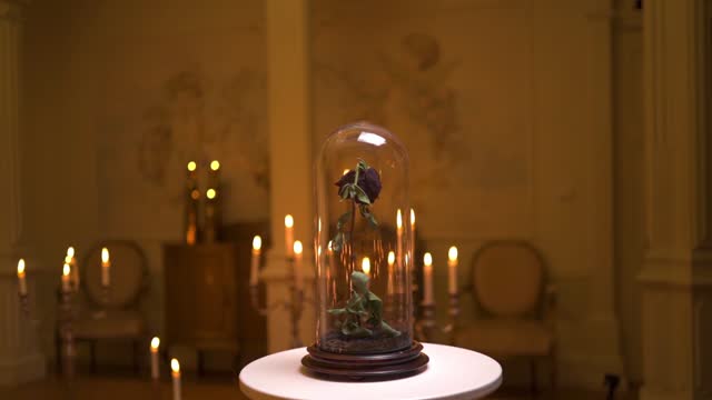 Withering rose inside a glass dome, on top of a pedestal.