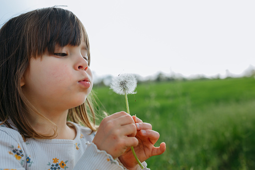 standing in a field girl blowing a dandelion