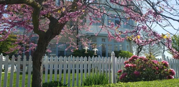 istock Flowers of North America 1909603246