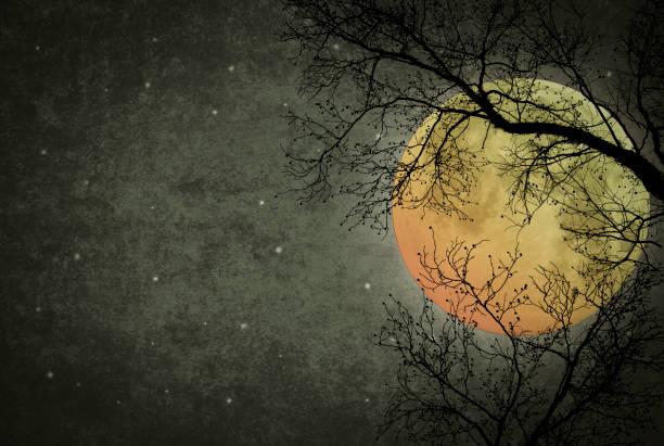 istock Fantasy Full Moon with Tree Silhouettes and Dark Night Sky - copy space 1909605958