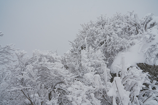 Old Castle entrance in winter with snow, 3d render.