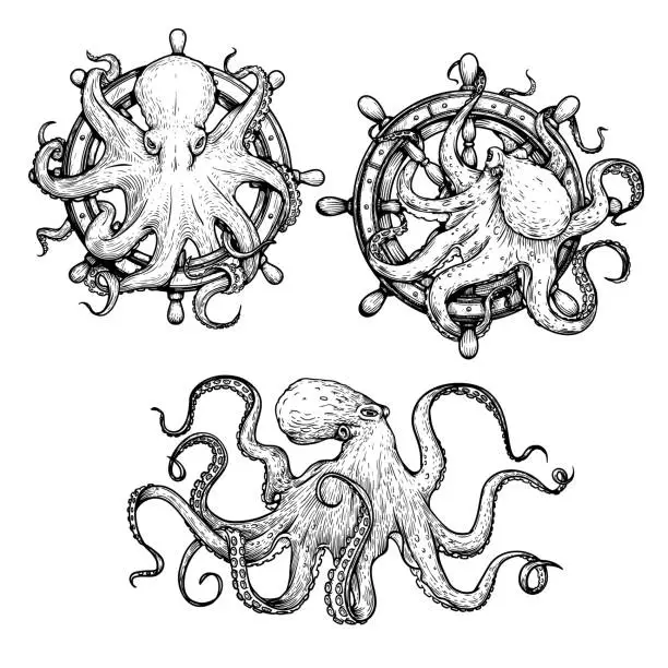 Vector illustration of Octopus sketch hand drawn vector illustrations set. Octopus on the helm. Engraving line art collection. Best for nautical designs.