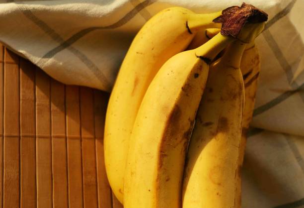 istock Close up banana branch. 1909639879