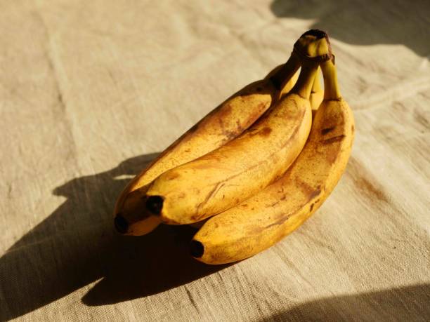 istock Banana branch lay on the table 1909640390