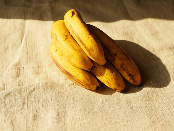 istock Banana branch lay on the table 1909640397