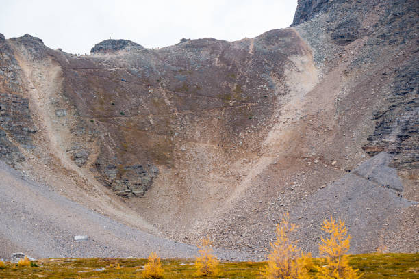 canadian rockies landscape. sentinel pass. banff national park, alberta, canada. - rock pinnacle cliff mountain peak - fotografias e filmes do acervo