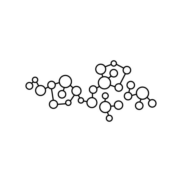 macromolecule color line icon. organisation in organism. - model organism stock illustrations