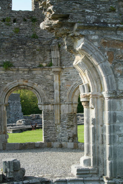 istock Ruins of Mellifont Abbey 1909656082