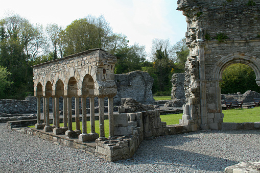 Remains of a cistercian abbey near Drogheda, County Louth, Ireland