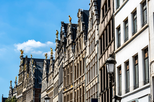 Houses in Antwerp