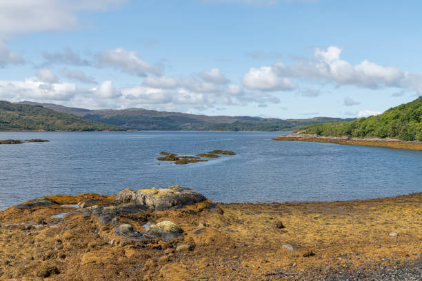 istock Looking north at the Argyll coastline from the Garbh Eilean Wildlife Viewing hide, Highlands, Scotland 1909665498
