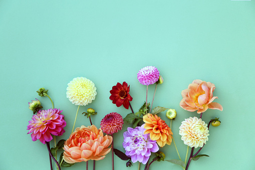 Lilies and roses with leaves isolated on white background . Beautiful bouquet. creative concept spring flowers,clipping path included.