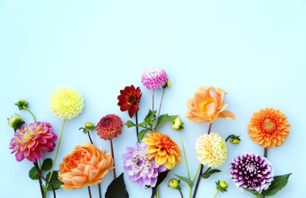 Flower arrangement stock photo