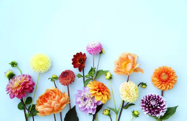 Photo of Flower arrangement