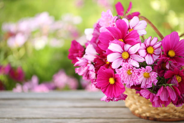 Flower arrangement stock photo