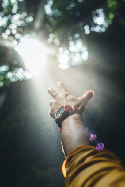 istock hand reaching out to the sunlight reflecting through the trees in the forest 1909736499
