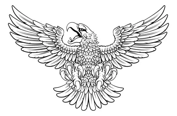 Vector illustration of Bald Eagle Hawk Flying Wings Spread Mascot