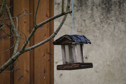 A hanging bird feeder in the garden