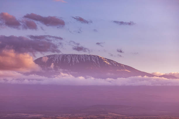 Mount Kilimanjaro is a dormant volcano located in Kilimanjaro Region of Tanzania. It has three volcanic cones: Kibo, Mawenzi, and Shira. It is the highest mountain in Africa and the highest single free-standing mountain above sea level in the world: 5,895 m above sea level and about 4,900 m above its plateau base.