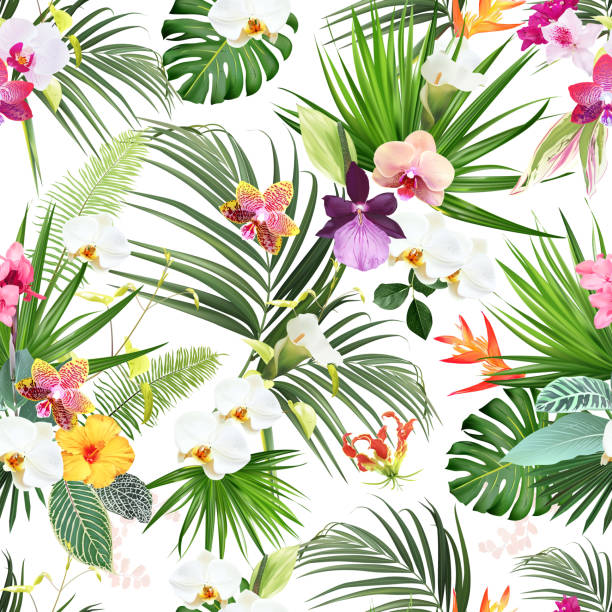 Exotic tropical flowers, orchid, strelitzia, hibiscus, canna, calla lily, palm, monstera leaves vector seamless pattern. Exotic tropical flowers, orchid, strelitzia, hibiscus, canna, calla lily, palm, monstera leaves vector seamless pattern. Jungle forest wedding design print. Island greenery. Isolated and editable zebra plant stock illustrations