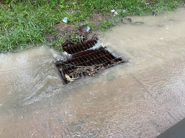 istock A lot of garbage from rainwater flowing into clogged drains. 1909812047