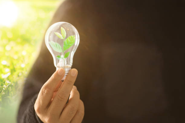 istock environmental, social and governance in sustainable. light bulb with a growing tree 1909838452