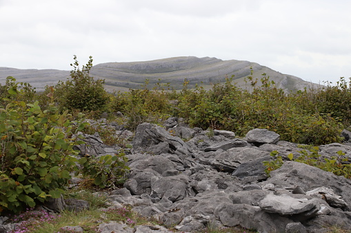 Karst rock and a rocky mountain in the beautiful Burren National Park in County Clare - Ireland
