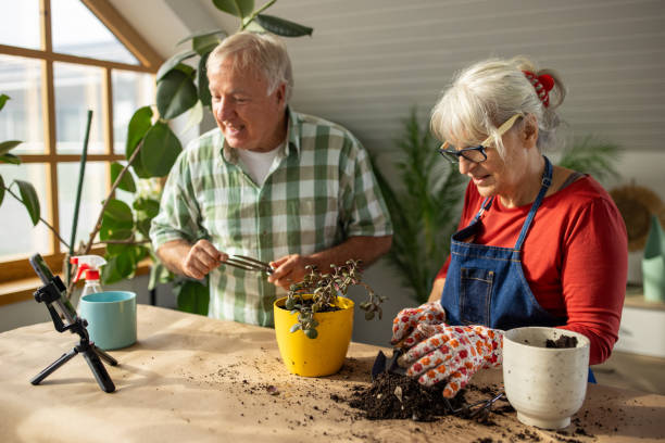 Senior couple vlogging on diy gardening