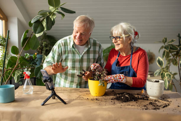 istock Senior couple vlogging on diy gardening 1909863158