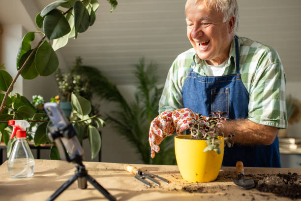 istock Senior man vlogging on gardening 1909867364