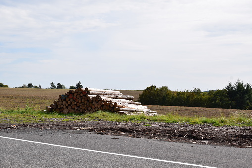 long logs at a country road