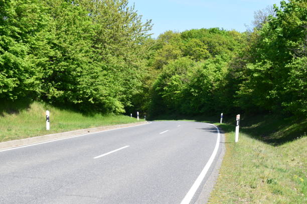 istock country road in summer forest 1909916242