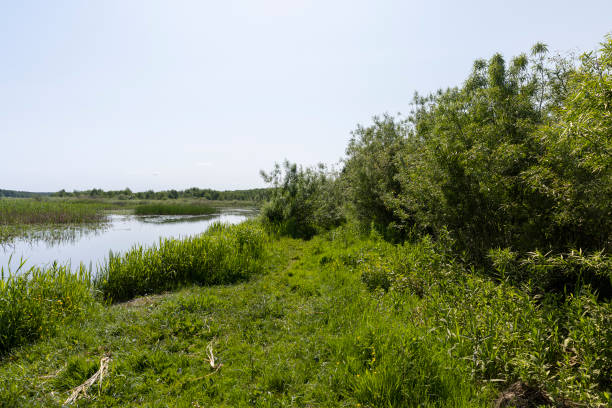 istock a wide river in eastern Europe, the Neman 1909934312