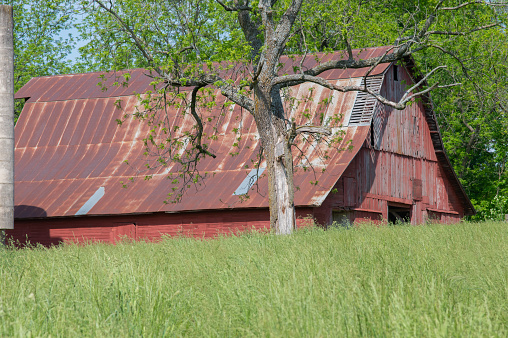 Old red barn in the field.