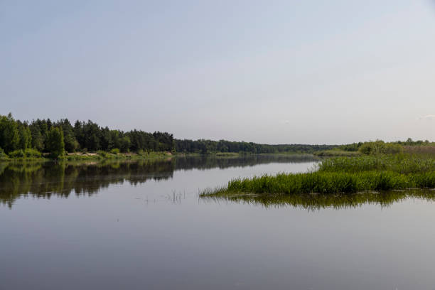 istock a wide river in eastern Europe, the Neman 1909934868