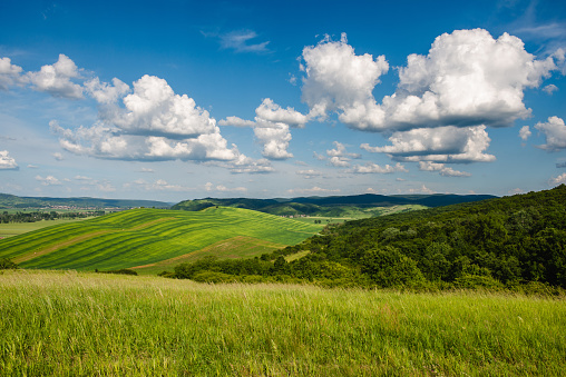 Country landscape along the road from Sassuolo to Serramazzoni, Modena province, Emilia-Romagna, Italy, at springtime