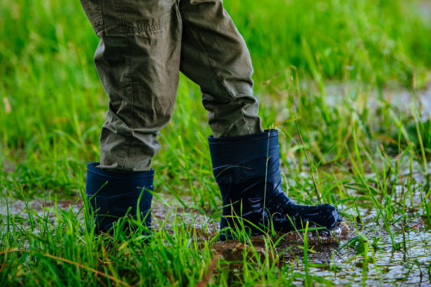 istock Boy in rubber boots walking on wet grass after the rain 1909992304